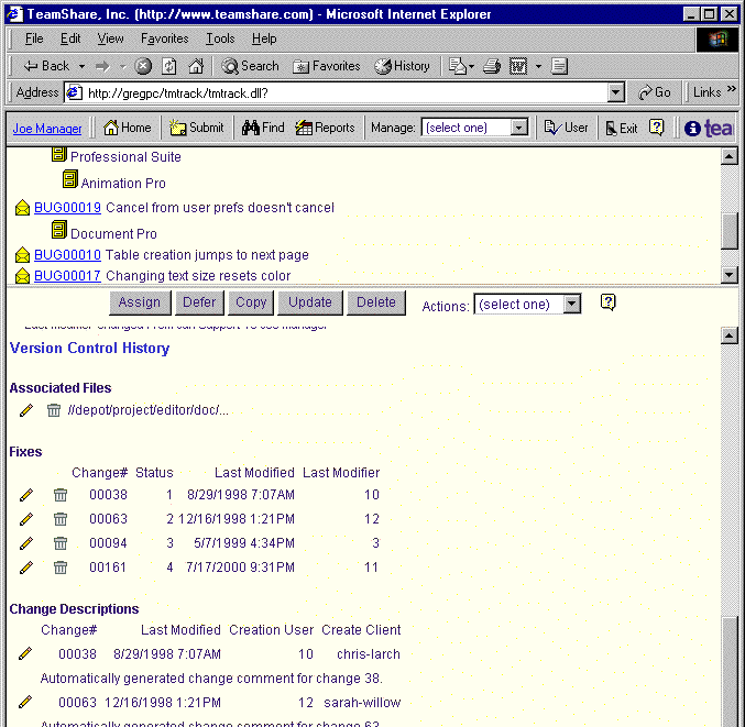 Screenshot of the case view window